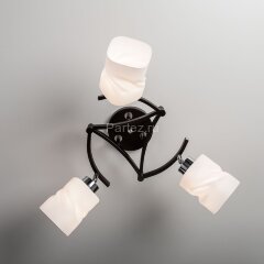 Потолочная люстра Citilux CL126132