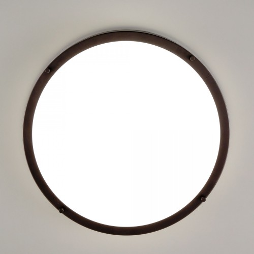 Настенно-потолочный светильник Citilux CL709505N