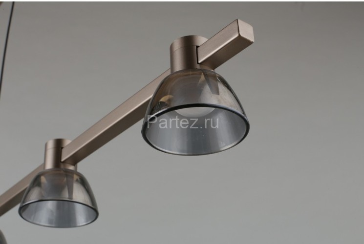 Подвесной светильник Aployt APL.788.03.06