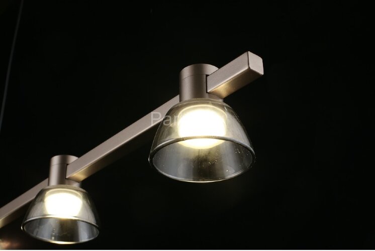 Подвесной светильник Aployt APL.788.03.06