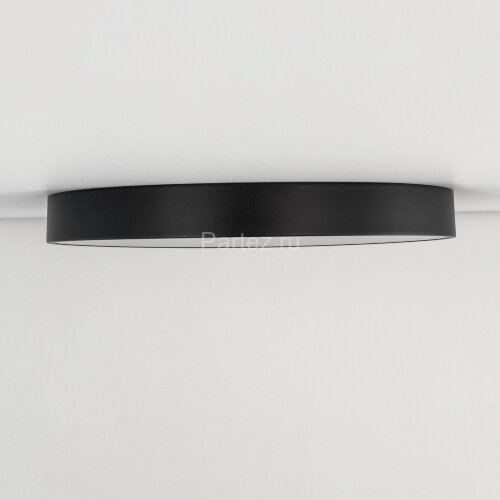 Потолочный светильник Citilux CL72495G1