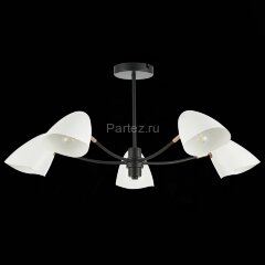 Потолочная люстра Evoluce SLE103602-05