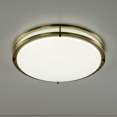 Настенно-потолочный светильник Citilux CL709503N