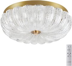 Потолочный светильник Sonex 7719/36L