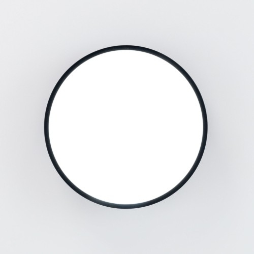 Потолочный светильник Citilux CL72424V1