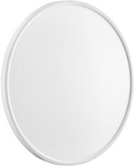 Настенно-потолочный светильник Sonex 7659/48L