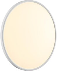 Настенно-потолочный светильник Sonex 7659/48L