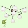 Потолочная люстра Lussole LGO GRLSP-8036