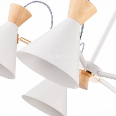 Потолочная люстра Evoluce SLE125102-05