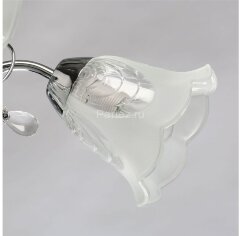 Потолочная люстра MW-Light 372015108