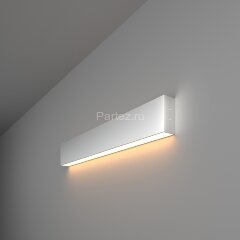 Настенный светильник Elektrostandard 101-100-30-53