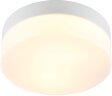 Потолочный светильник Arte Lamp A6047PL-1WH