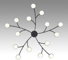 Потолочная люстра Lumion 8117/15