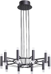 Подвесная люстра Arte Lamp A2482SP-20BK