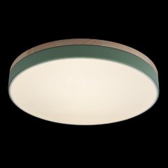 Потолочный светильник Loft It 10001/36 Green