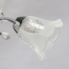 Потолочная люстра MW-Light 372015005