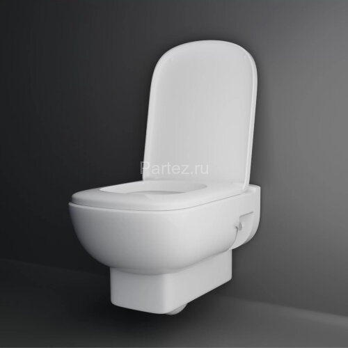 Унитаз подвесной NORDEN 350х540х355 быстросъемное сиденье микролифт, белый (40302100005)