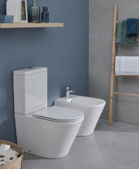 Бачок для унитаза Jacob Delafon Rodin+ белый (ETAB232-00)