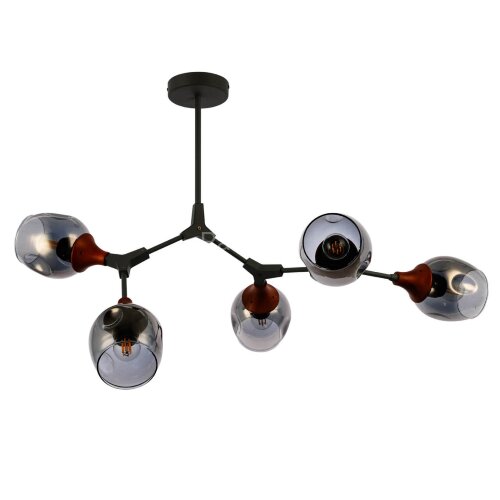 Потолочная люстра Evoluce SLE113402-05