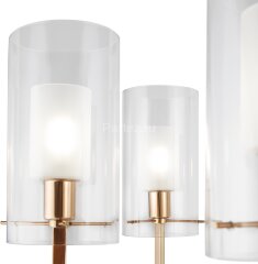 Потолочная люстра Freya FR5206PL-06FG