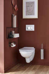 Клавиша двойного смыва Jacob Delafon хром глянцевый/белая матовая (E20859-CP-MWH)