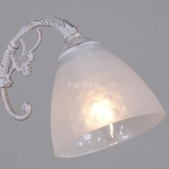 Бра ILLUMICO IL0232-1WSQ-24 SS SPICA