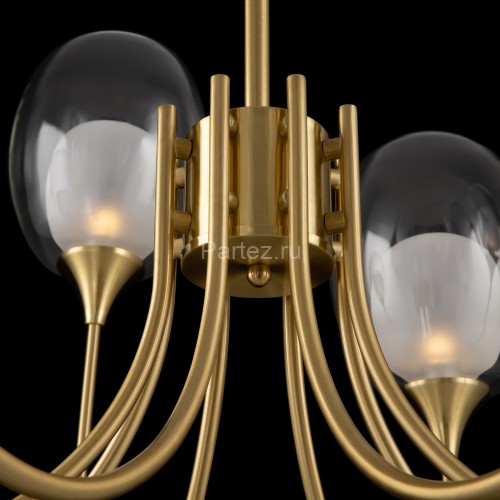 Потолочная люстра Maytoni MOD016PL-08BS