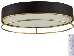 Потолочный светильник Sonex 7723/100L