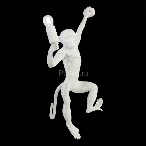 Бра Evoluce SLE115111-01