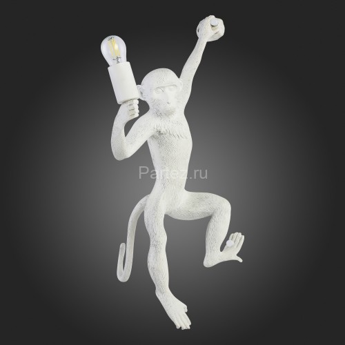 Бра Evoluce SLE115111-01