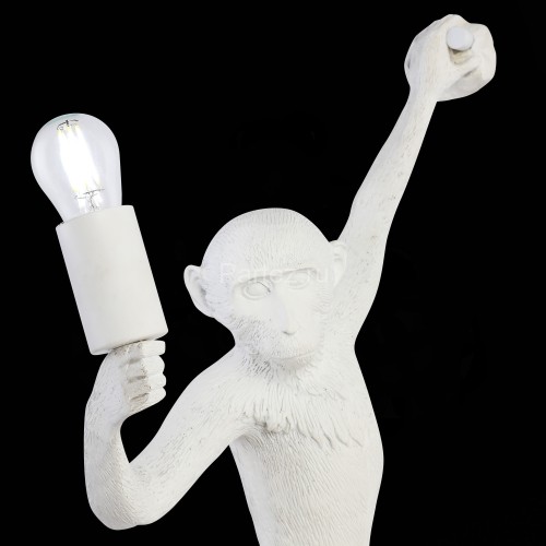 Бра Evoluce SLE115111-01