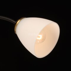 Потолочная люстра DeMarkt 676016903