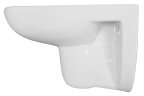 Унитаз подвесной Azario Pavia 550х350х375 безободковый, с сидением микролифт (AZ-2005)