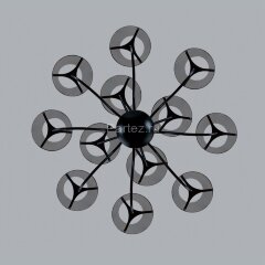 Потолочная люстра Lumion 6570/12C