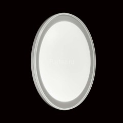 Настенно-потолочный светильник Sonex 2049/DL