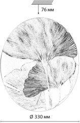 Настенно-потолочный светильник Sonex 7747/CL