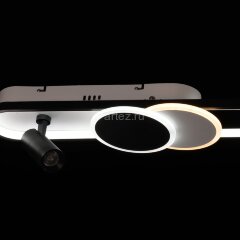 Настенно-потолочный светильник DeMarkt 377013604