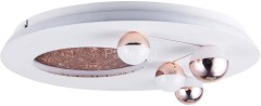 Настенно-потолочный светильник Favourite 4630-4C