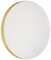 Настенно-потолочный светильник Sonex 3066/AL