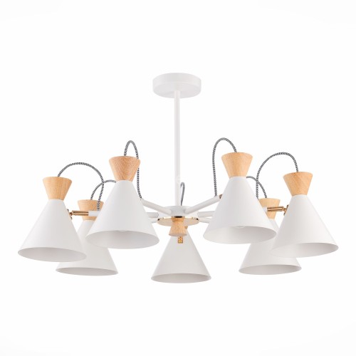 Потолочная люстра Evoluce SLE125102-07