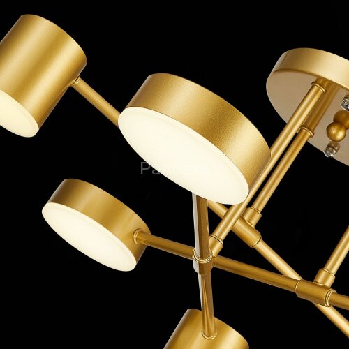 Потолочная люстра Evoluce SLE201022-06