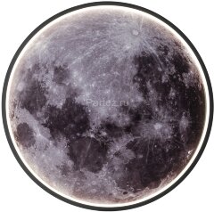 Настенно-потолочный светильник Escada 10226/SG LED Mars