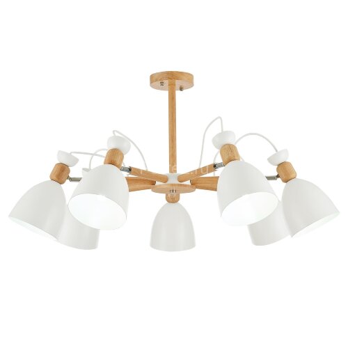 Потолочная люстра Evoluce SLE103802-07