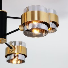 Потолочная люстра Eurosvet 70127/6 черный/дымчатый