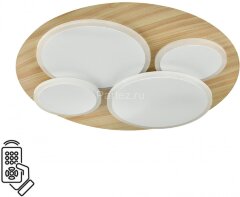 Потолочный светильник Sonex 7734/60L