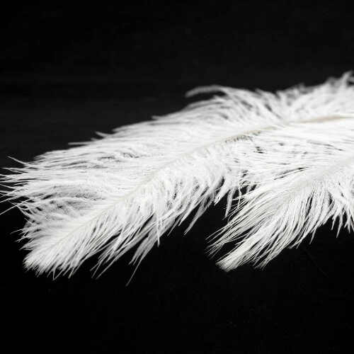 Подвесная люстра Lussole LSP-8601